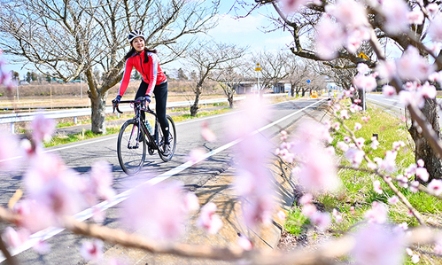 【SUBARU CYCLE FAN CLUB】輪行でお花見サイクリング