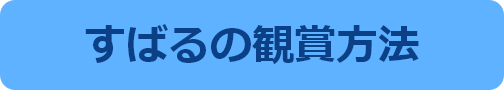 すばるの鑑賞方法