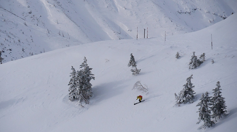 雪山をスキーで滑走する秋庭さん。